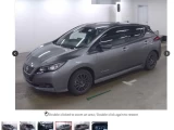 Nissan Leaf	ZE1-031306	 4