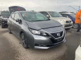 Nissan Leaf	ZE1-031306	 12