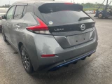 Nissan Leaf	ZE1-031306	 21